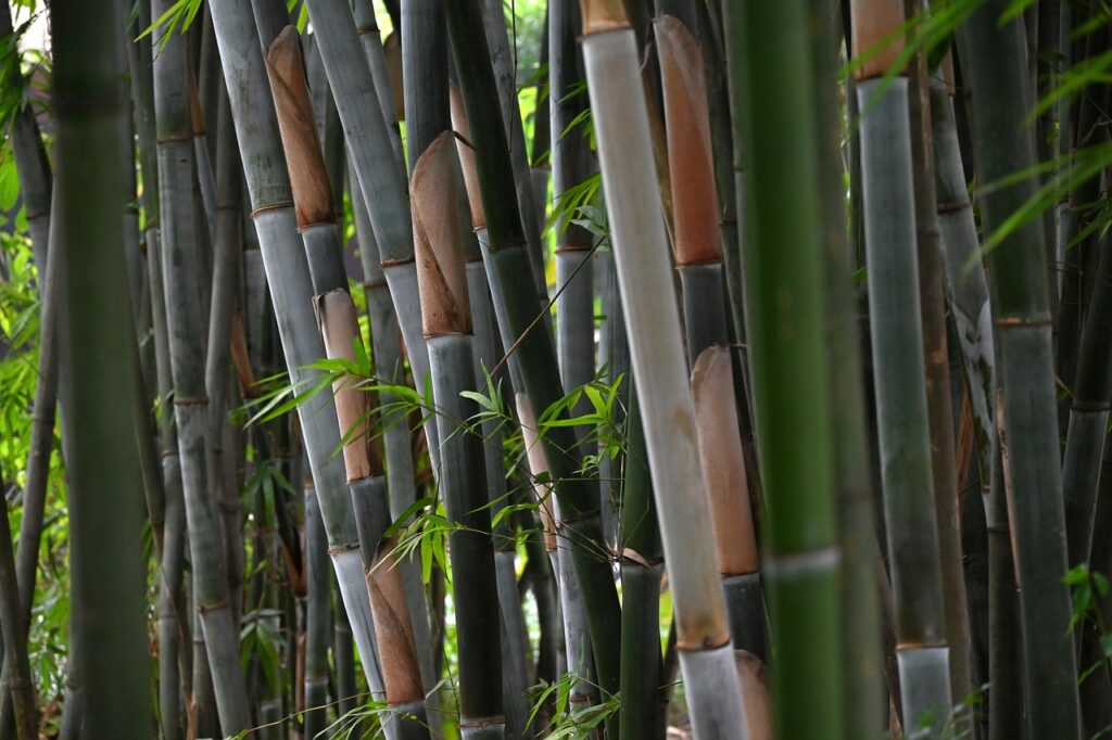 子ども撮影における光と影の活用方法とは？