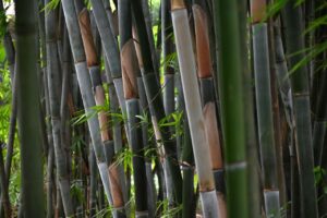 子ども撮影における光と影の活用方法とは？