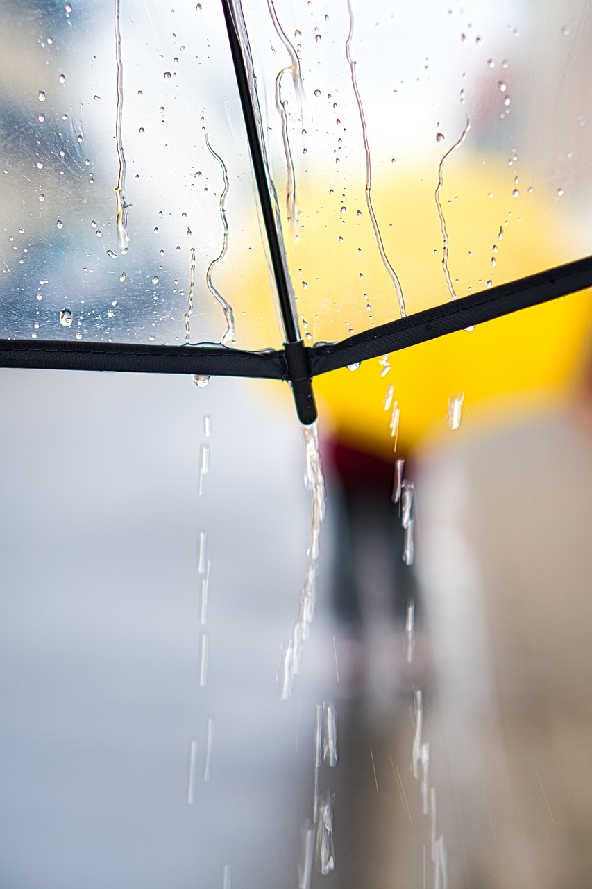 雨の日に楽しむ写真アイデアは？