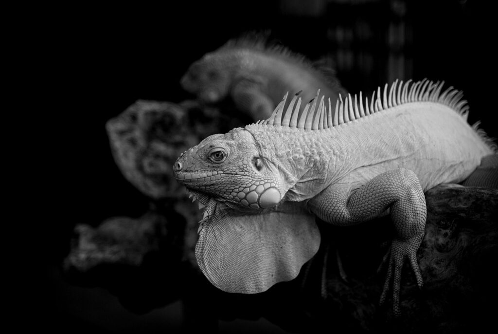 スマホ解像度を最適化する方法とは？