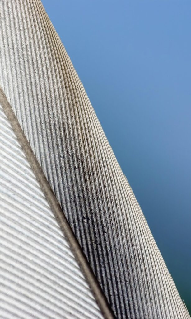 画面解像度がスマホ選びに与える影響は？