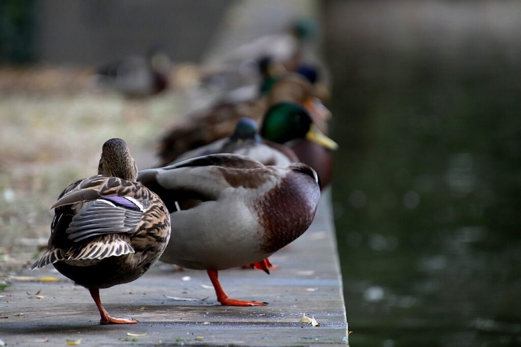 スマホで子どもがパソコンのデータを保存する方法は？