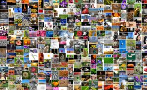 子ども写真を使ったおしゃれなアルバムの作り方は？